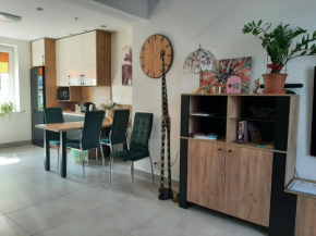 Apartament Renii blisko Areny Lodowej